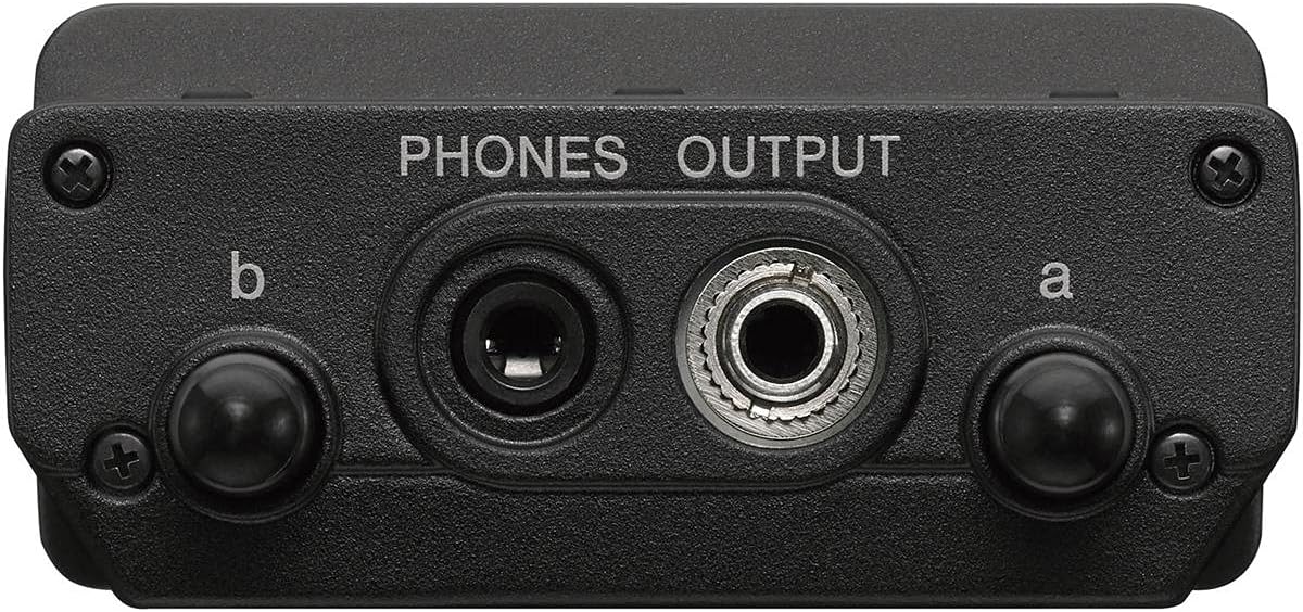 Sony UWP-D, 1 Wireless Microphone System, Black, One Size (UWP-D21/25)