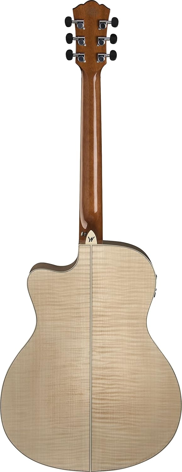 Washburn Apprentice AG40CE with Case, Acoustic Electric Guitar