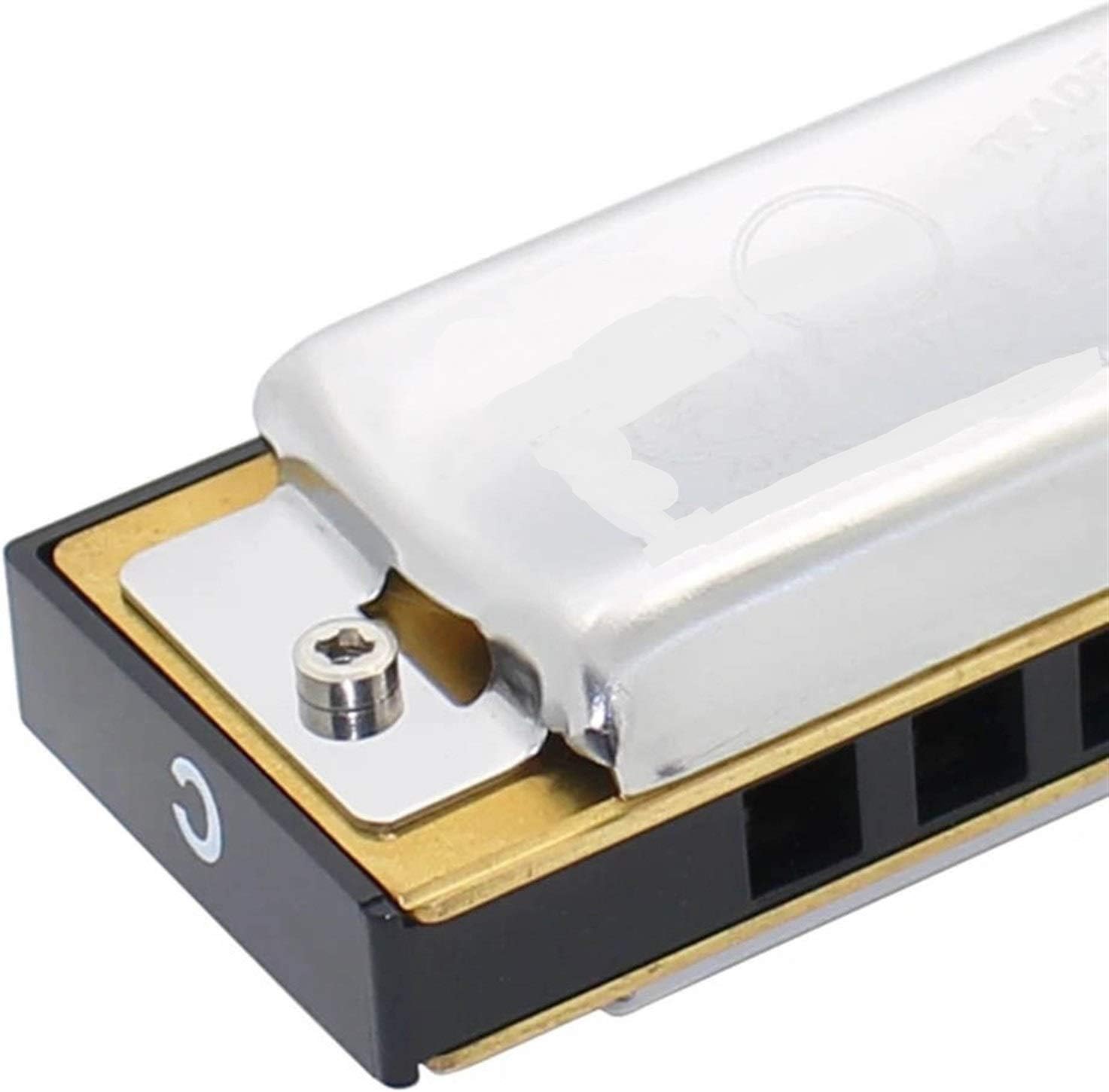Harmonica Diatonic 10 Holes Harmonica Mouth Organ Instrumentos Diatonic Blues Harp Key of C ABS Comb Musical Instruments (Color : Silver Key EB)