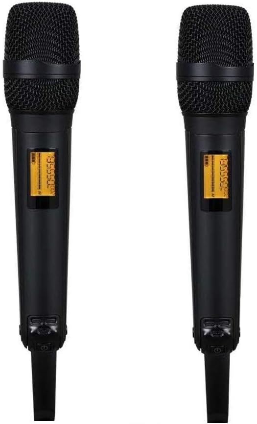 Dual Wireless Systems Microphone Handheld Professional Sound System for Singing School Meeting Microphone