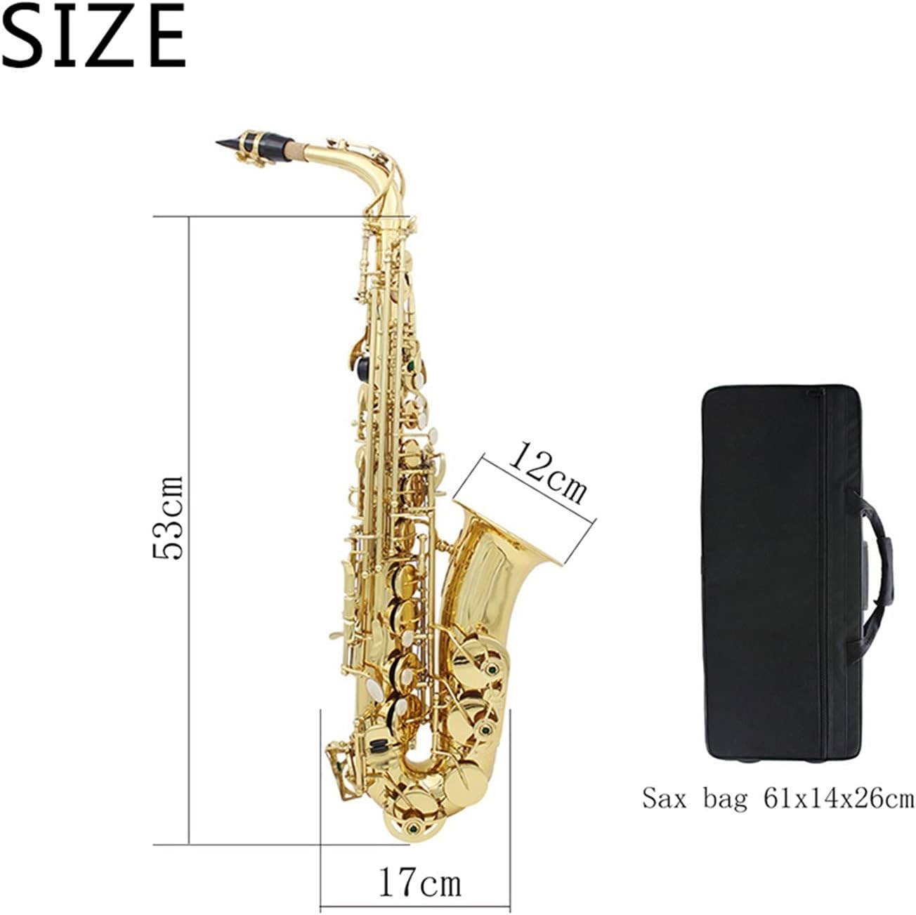 EB Alto Saxophone Brass Gold Lacquer E Flat Woodwind Musical Instrument with Case