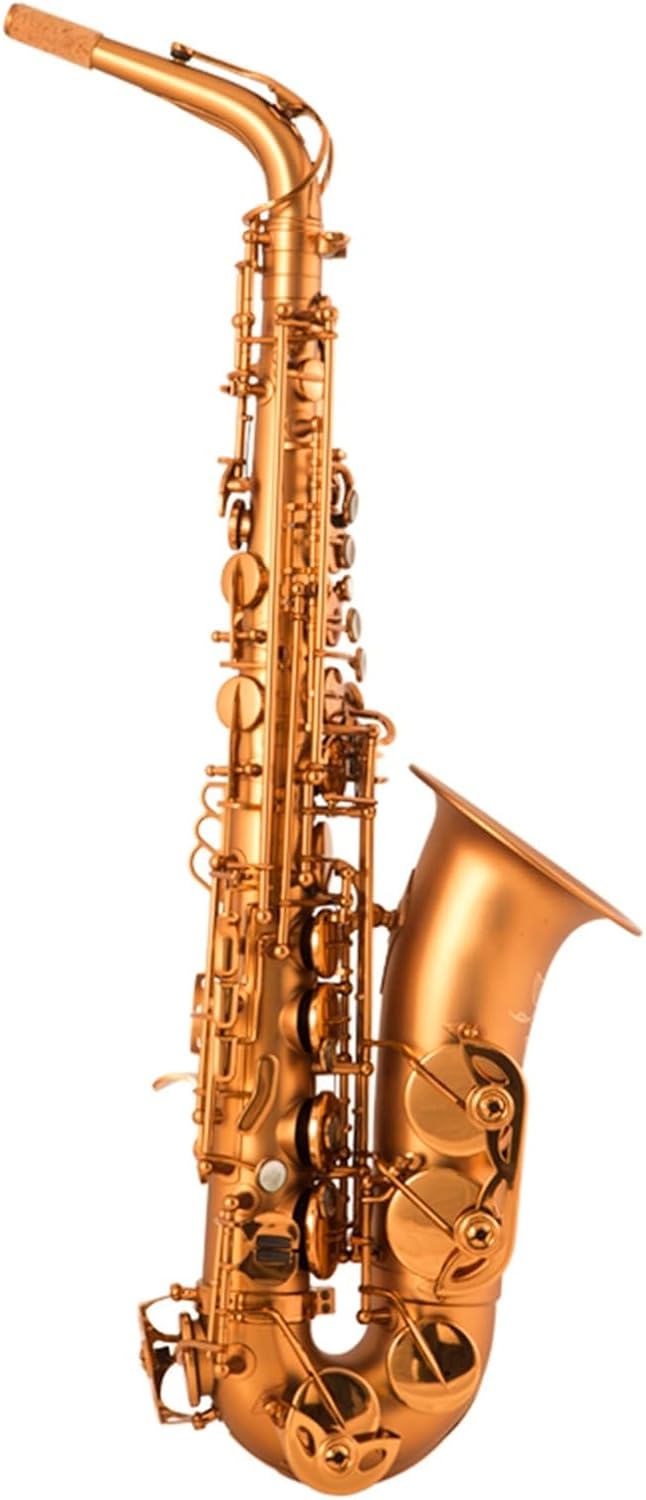 E Flat Alto Saxophone Woodwind Instrument Professional Beginners Grade Examination Matt Gold