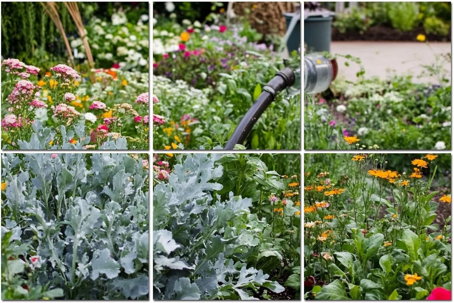 6 Pack Art Acoustic Panels Old cottage garden mixed flower vegetable beds watering cans Sound Absorbing Panel 48