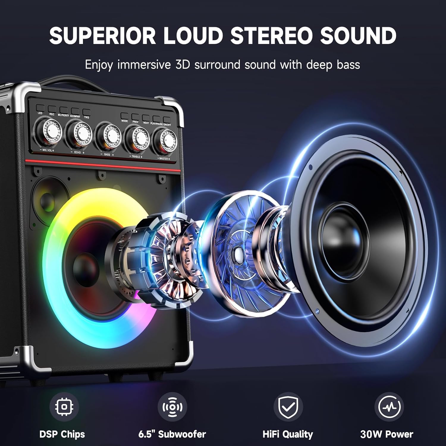 Karaoke Machine with 2 Microphones: HWWR Portable Karaoke Machine for Adults Kids, Eco-Friendly Reusable for Home Party Bluetooth Speaker with Bass/Treble Adjustment, Support REC/USB/AUX