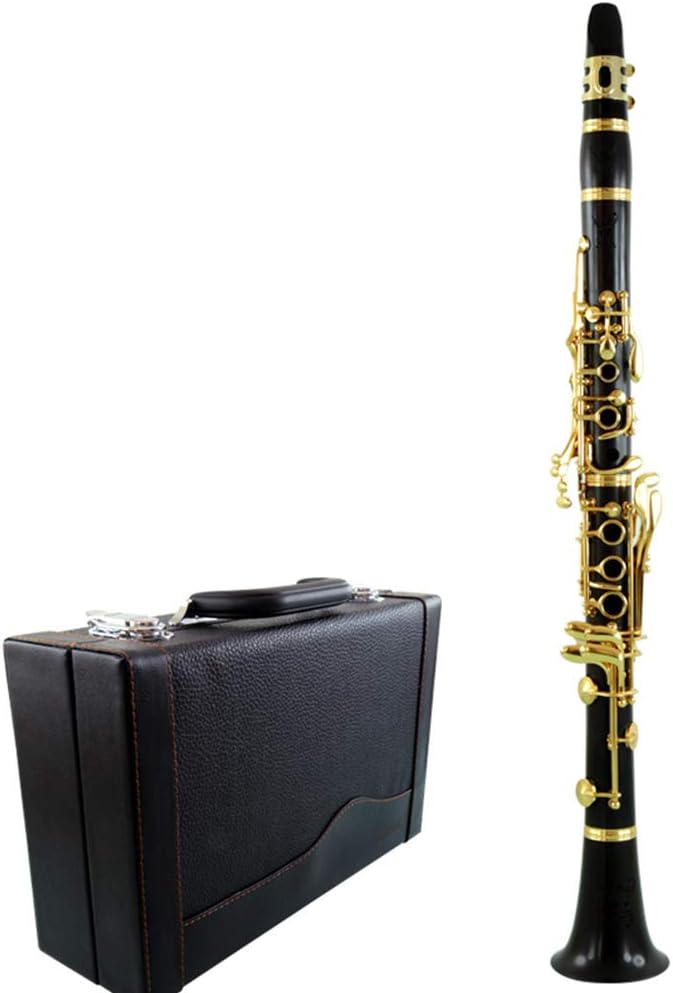 170S professional performance level ebony wood gold plated C tone clarinet