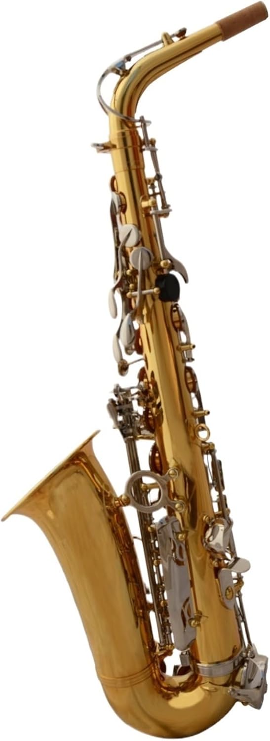 Saxophone for Beginners Woodwind Instruments Saxophone Professional E-Flat Alto Gold Nickel Key Saxophone Beginners Practice Playing