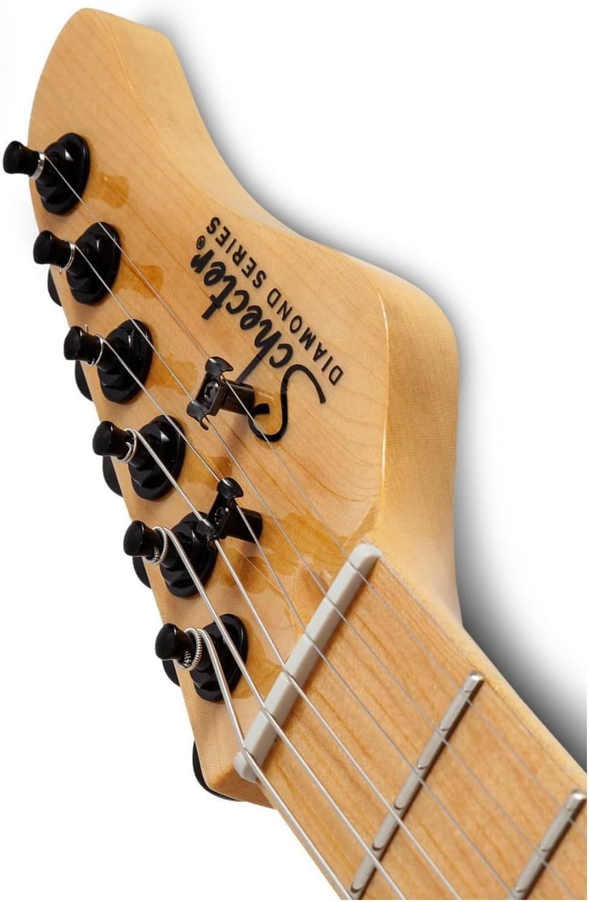 Schecter PT 6-String Electric Guitar (Right-Handed, Gloss Black) Bundle with Hard Shell Protective Carrying Case (2 Items)