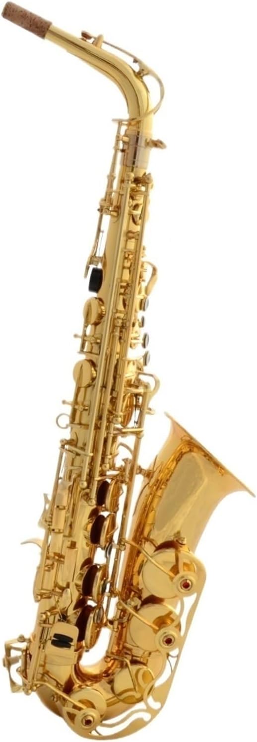 Saxophone for Beginners Woodwind Instrument Professional Alto E Flat with Saxophone Suitable for Beginners and Adults