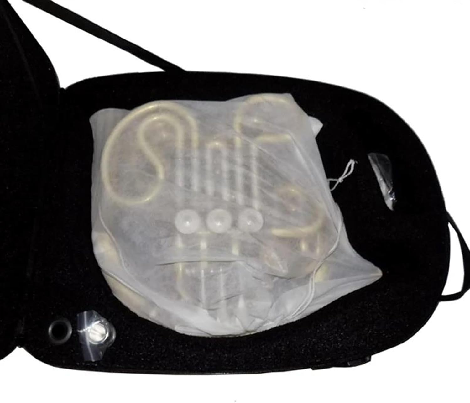 Brass French Horn F/Bb Double French Horn Musical Instruments 4 Valves Divided With Case Mouthpiece Gold Lacquer