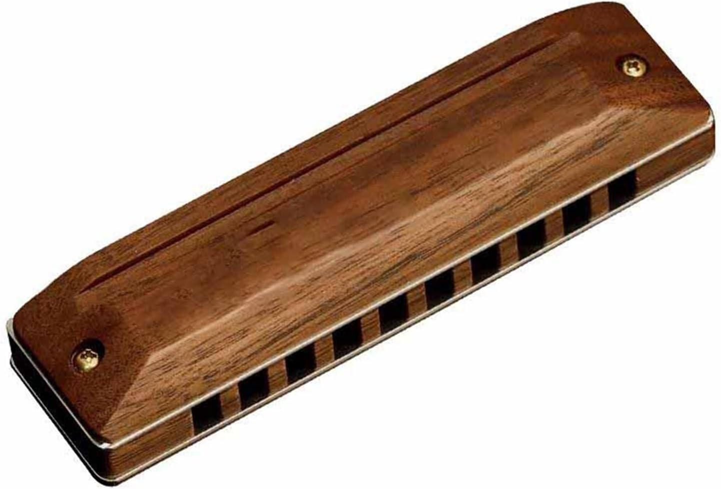 10hole 20 Tone Woodwind Harmonica For Beginners