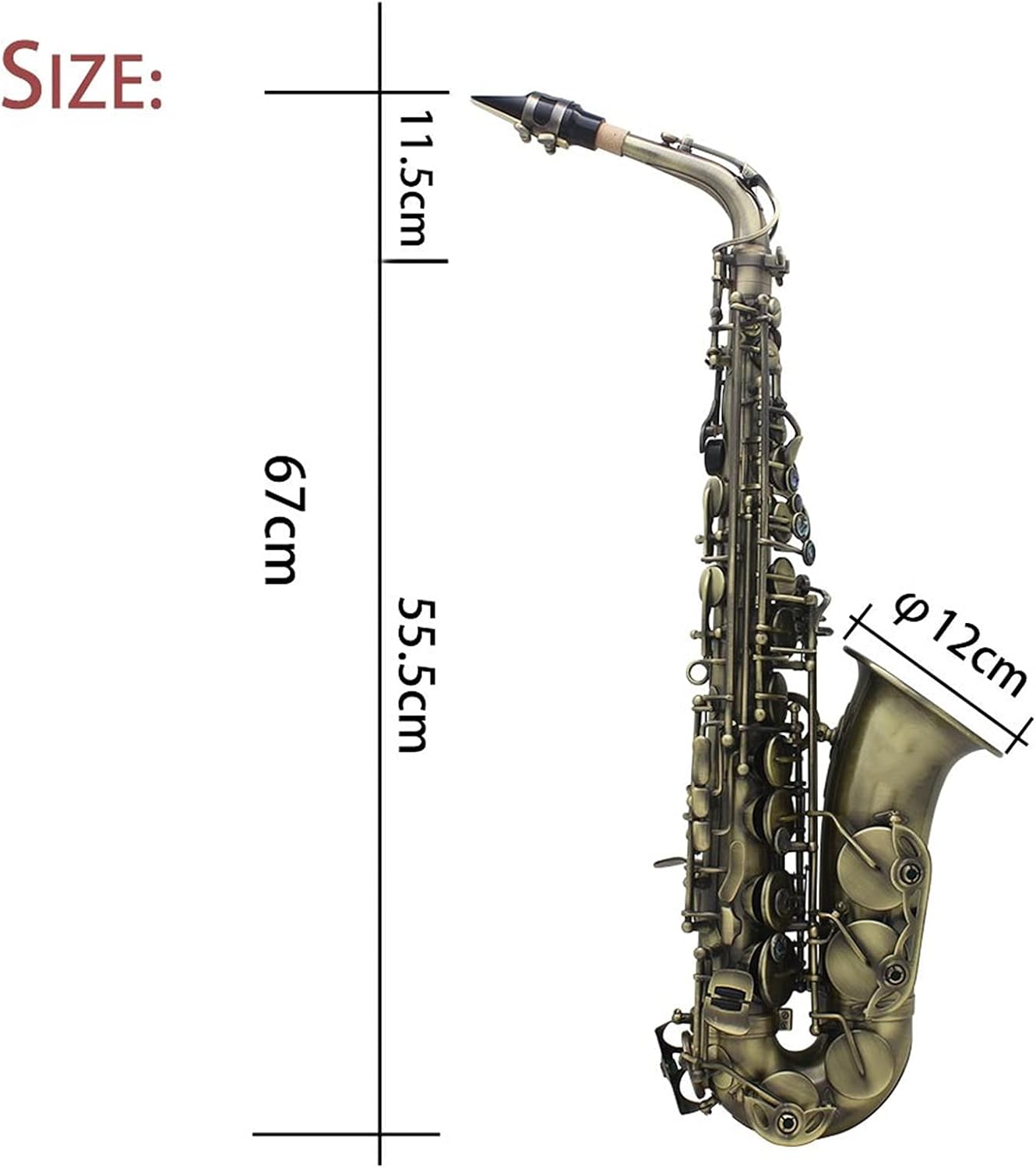 Sax Beginners Kit High Grade Antique Finish Bend EB E- Flat Alto Saxophone Sax Abalone Shell Key Carve Pattern Wind Instrument