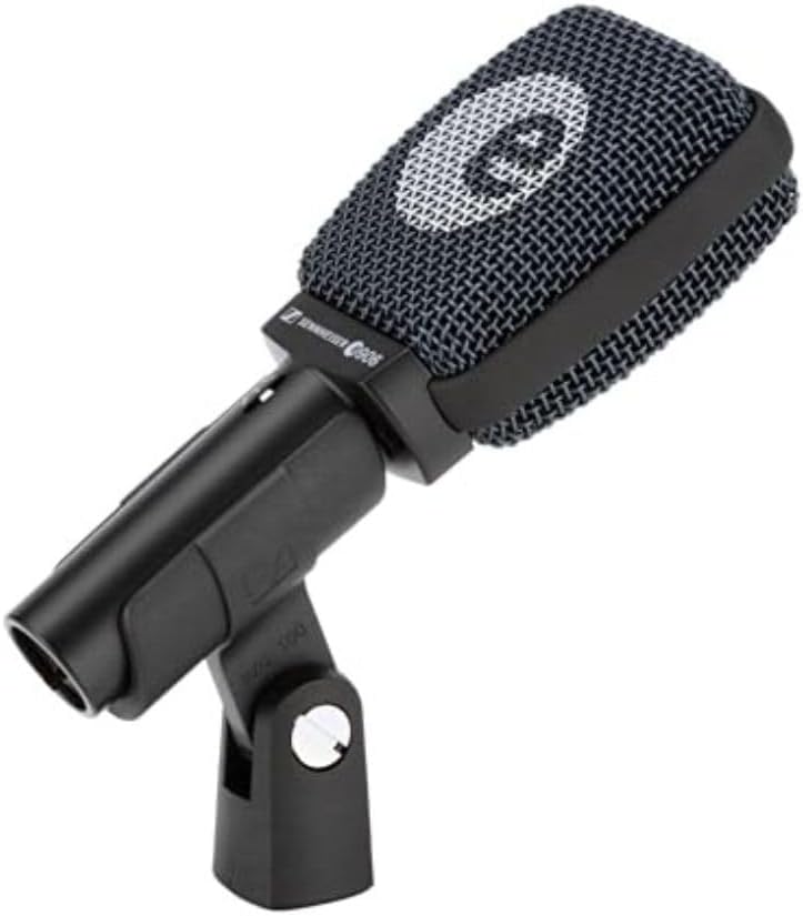 Sennheiser E 906 Supercardioid Dynamic Instrument Microphone Bundle w/Pig Hog PHM10 8mm Mic Cable Polishing Cloth