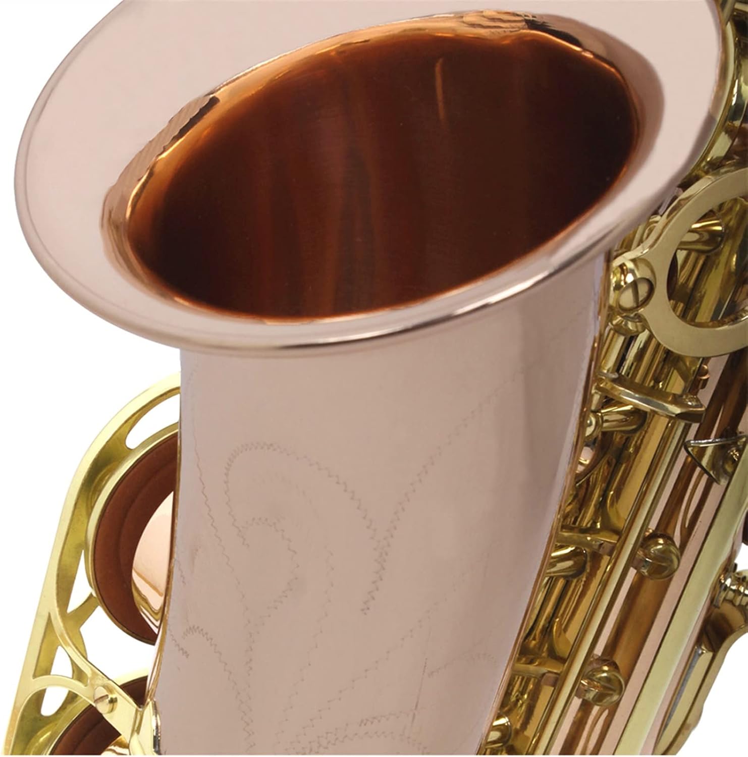 EB Alto Saxophone Phosphor Bronze Material E Flat Sax Woodwind Instrument with Case Gloves Reeds Strap