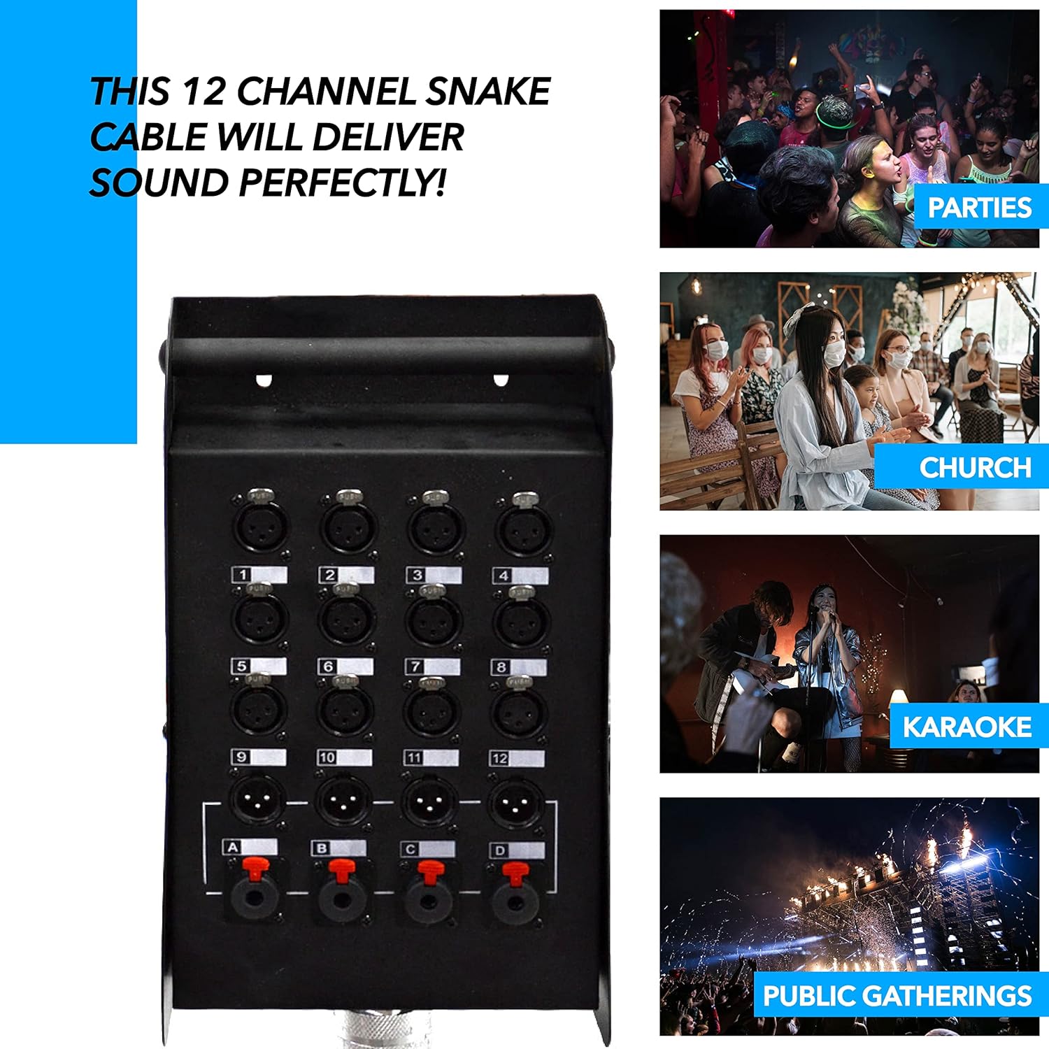 Seismic Audio - SALS-12x4x50 - 12 Channel 50' Pro Stage XLR Snake Cable (XLR & 1/4