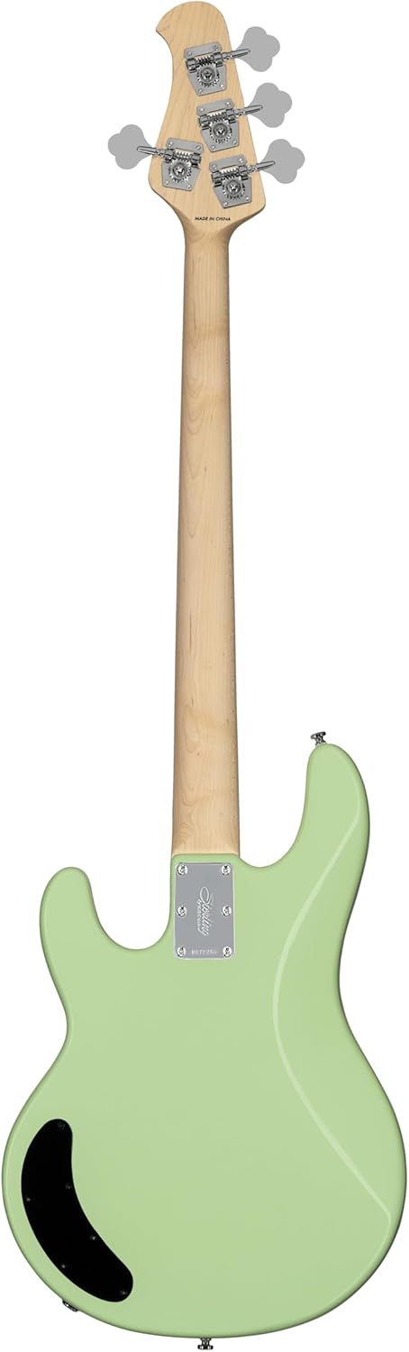 Intro Series StingRay