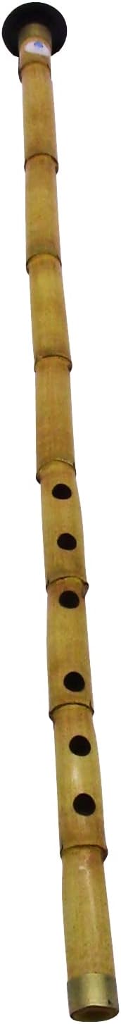 Turkish Reed, Bamboo Nay Nay Woodwind Flute with Protective carry Case (Broom (Re)= 58cm/23'')
