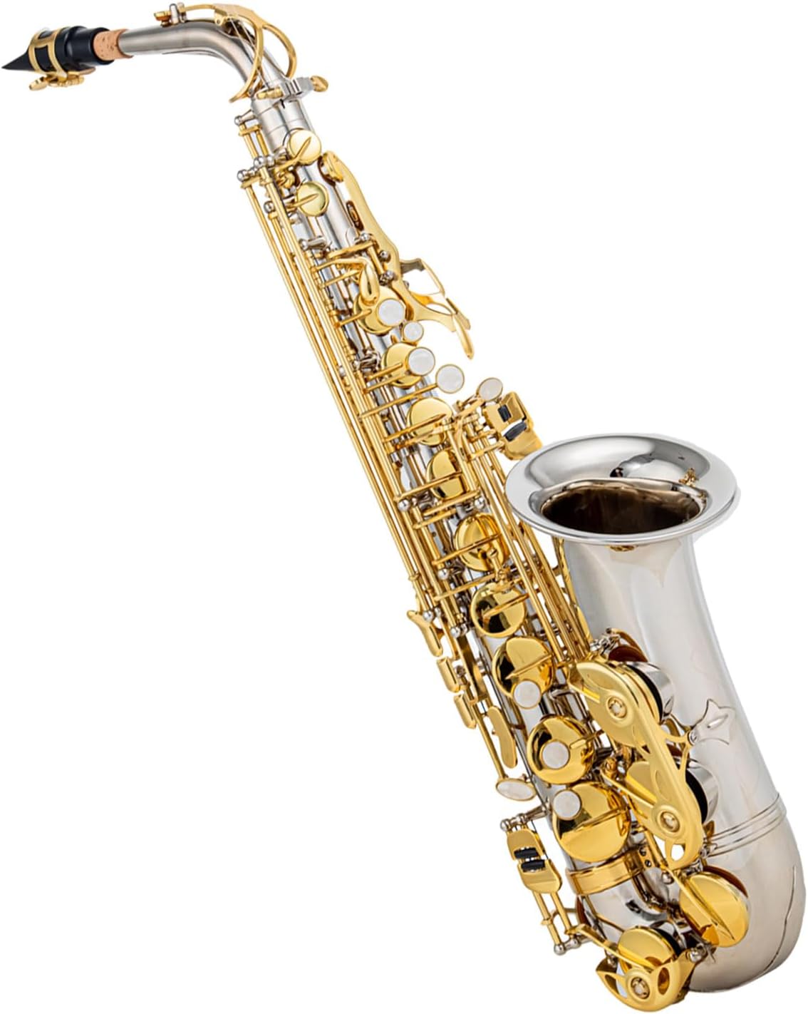 Eb Alto Saxophone Brass E Flat Sax 802 Key Type Woodwind Instrument with Cleaning Rod Cloth Gloves Strap Padded Case for Standard Student Beginner and Teacher