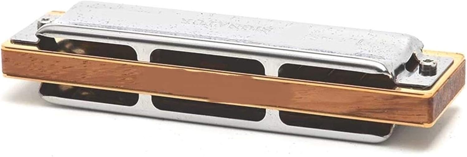 Harmonica Harmonica Blues Harp Diatonic Harmonica 10 Hole 20 Tone Musical Instruments Mouth Organ Key C