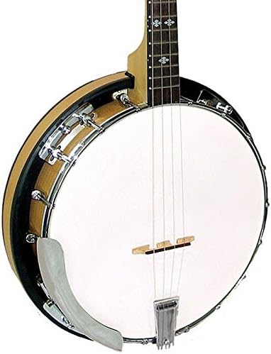 Gold Tone 4-String Irish Tenor Banjo w/Gig Bag