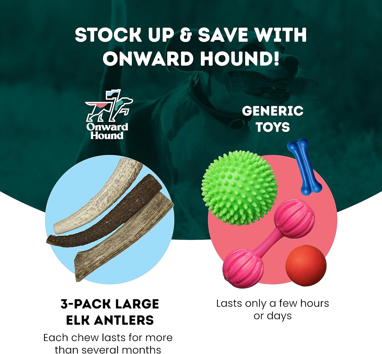 Onward Hound Elk Antlers for Dogs, 7