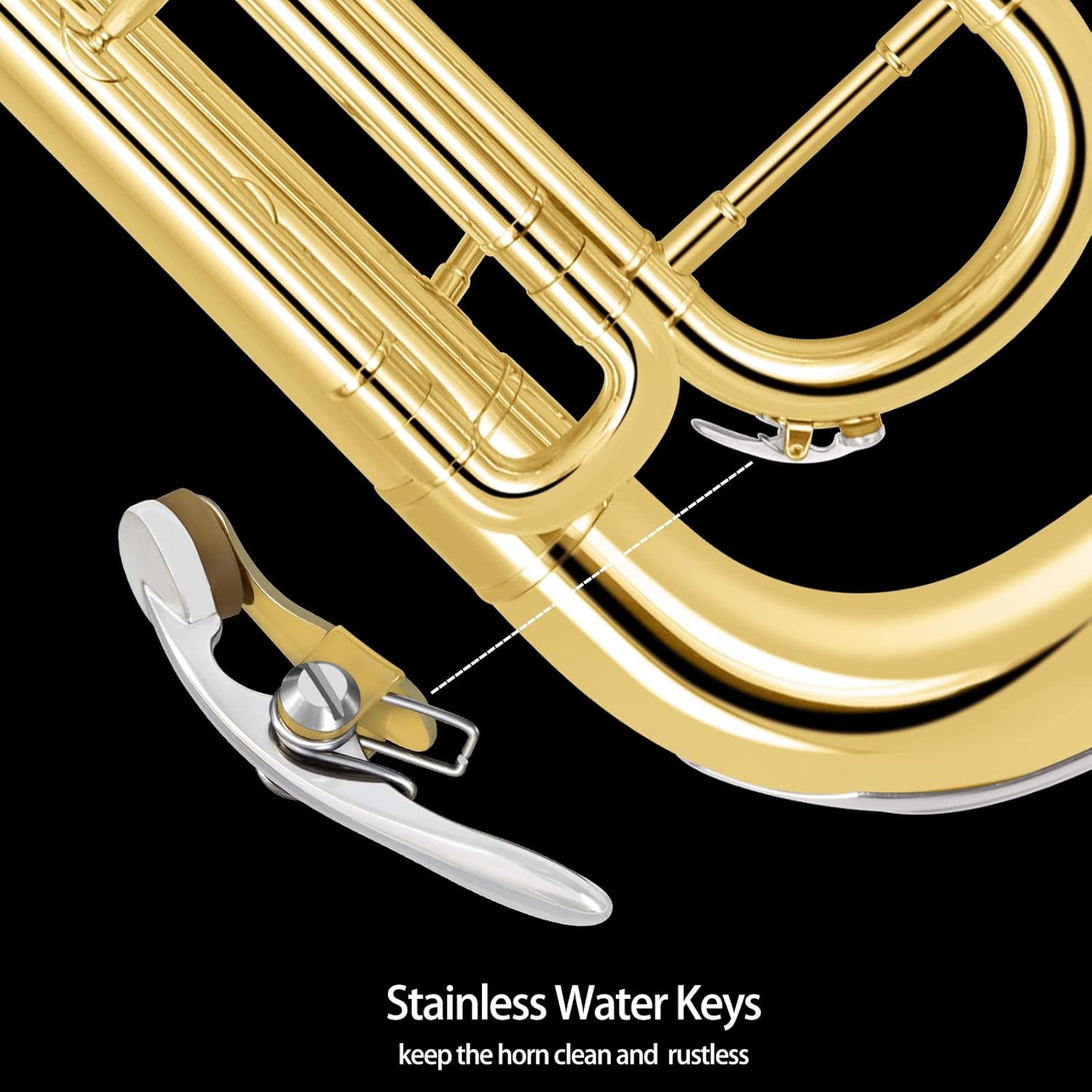 ROWELL Euphonium 3 Valves Bb Brass Lacquer Gold 3 Stainless Steel Pistons Student Euphonium Beginners Intermediate Euphoniums with Case Gloves and Polishing Cloth