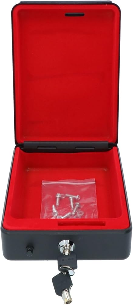 Carpoint CPT0510006 Car Safe, 22.5 x 16 x 7.5 cm