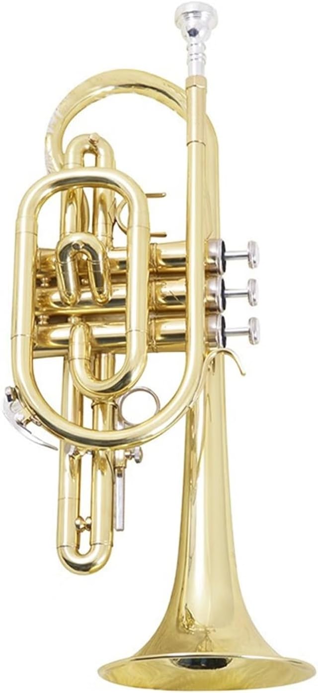 Trumpet cornet musical instrument professional brass B flat