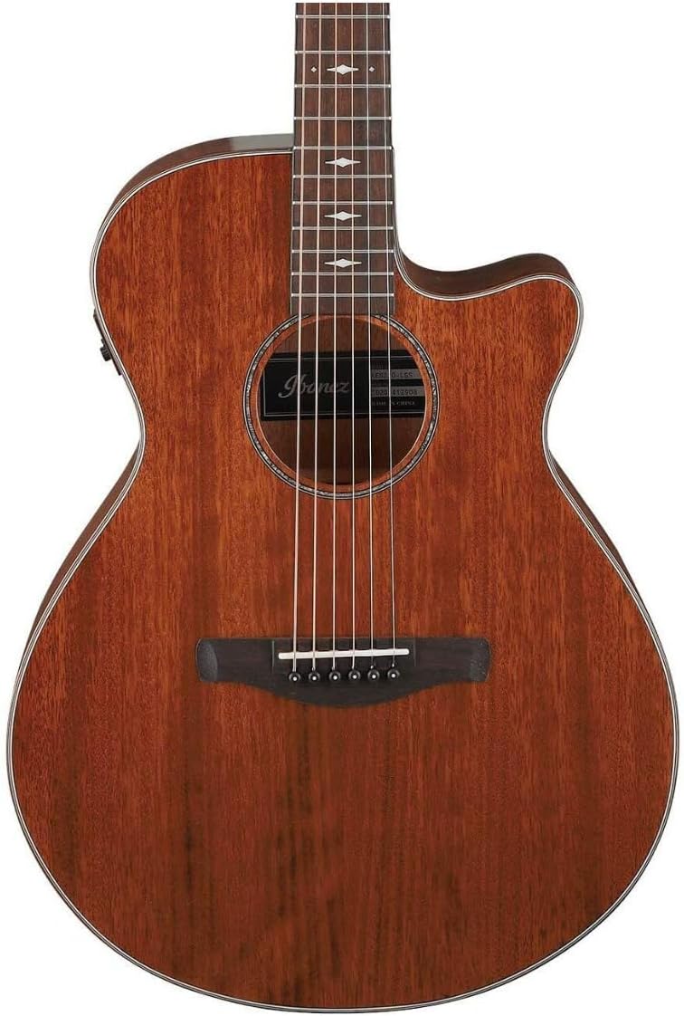 Ibanez AEG220 Okoume Acoustic-Electric Guitar, Natural Low Gloss