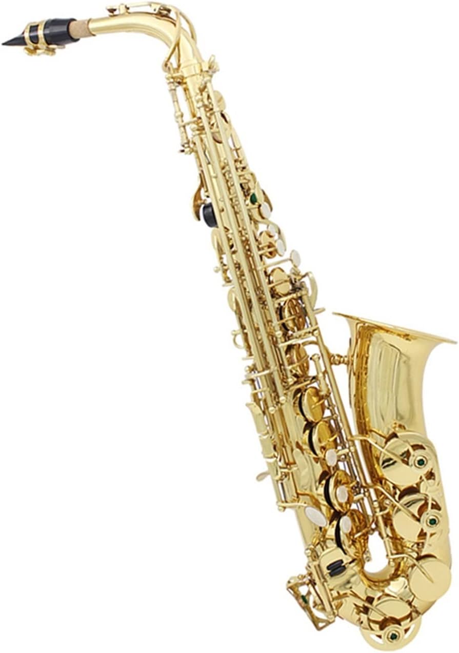 EB Alto Saxophone Brass Lacquered Gold Woodwind Instrument E Flat with Case