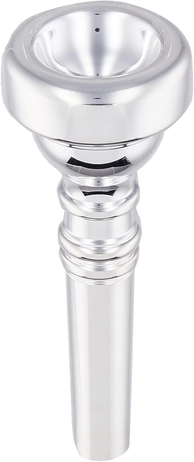 Vincent Bach Trombone Cleaning and Care Product (3493D)