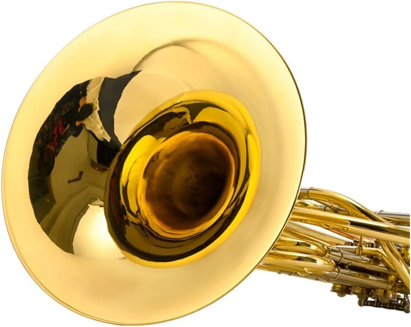 B flat French Horn instrument professional performance double row