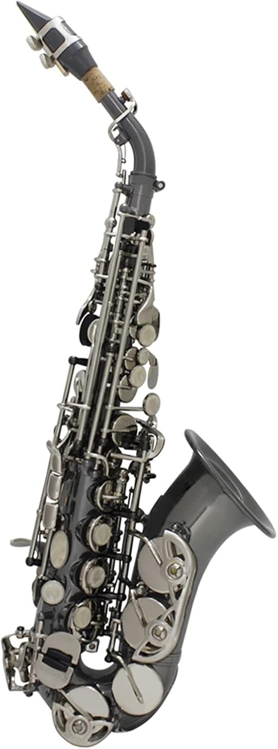 TSTS Woodwind Instrument Saxophone Bb Brass Material Nickel Plated with Carry Case Gloves Brass Sax Full Kit