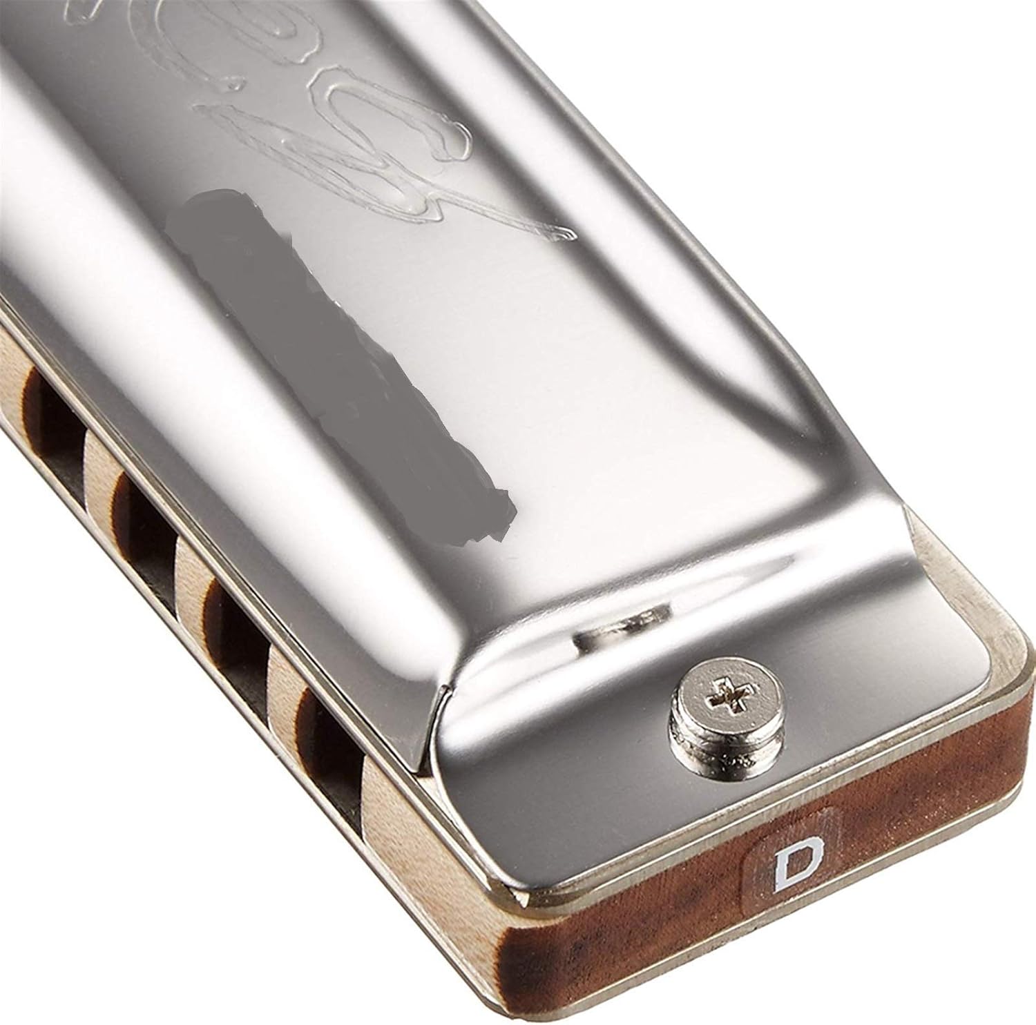 Harmonica Diatonic Harmonica 10 Holes 20 Notes Blues Harp Key C Stainless Steel Cover Musical Instruments (Color : Key Low EB)