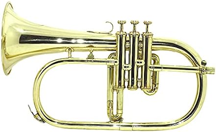 SHREYAS BRASS FINISH FLUGLE HORN 3 VALVE PERFECT QUALITY FLUGELHORN BRASS FLUGLEHORN