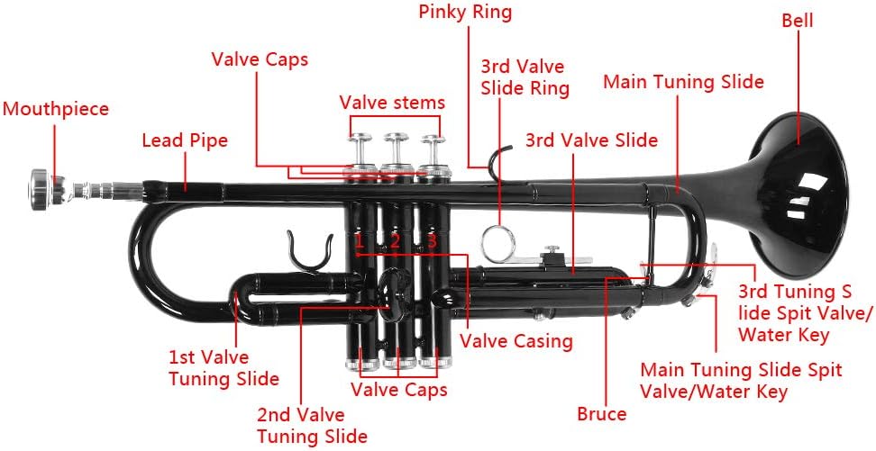 Standard Trumpet Brass Gold Bb Trumpet for Students and beginners w/Gloves,Mouthpiece (Black)