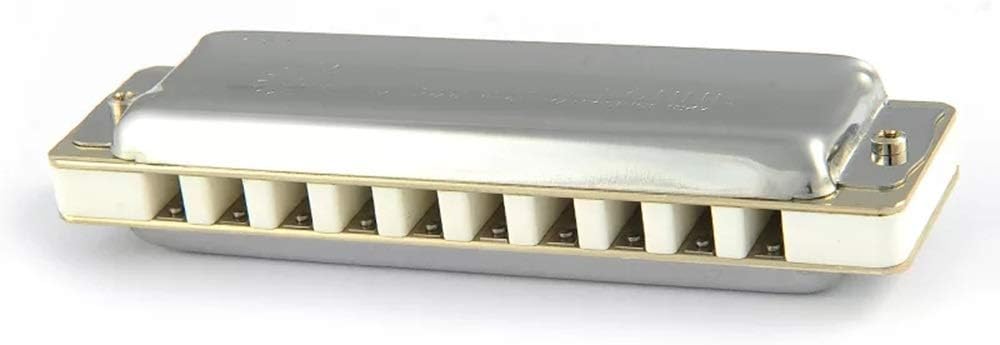 Harmonica Silver Diatonic Harmonica 10 Holes Blues Harp Key C Stainless Steel Cover Reeds ABS Comb Instruments (Color : Key EB)