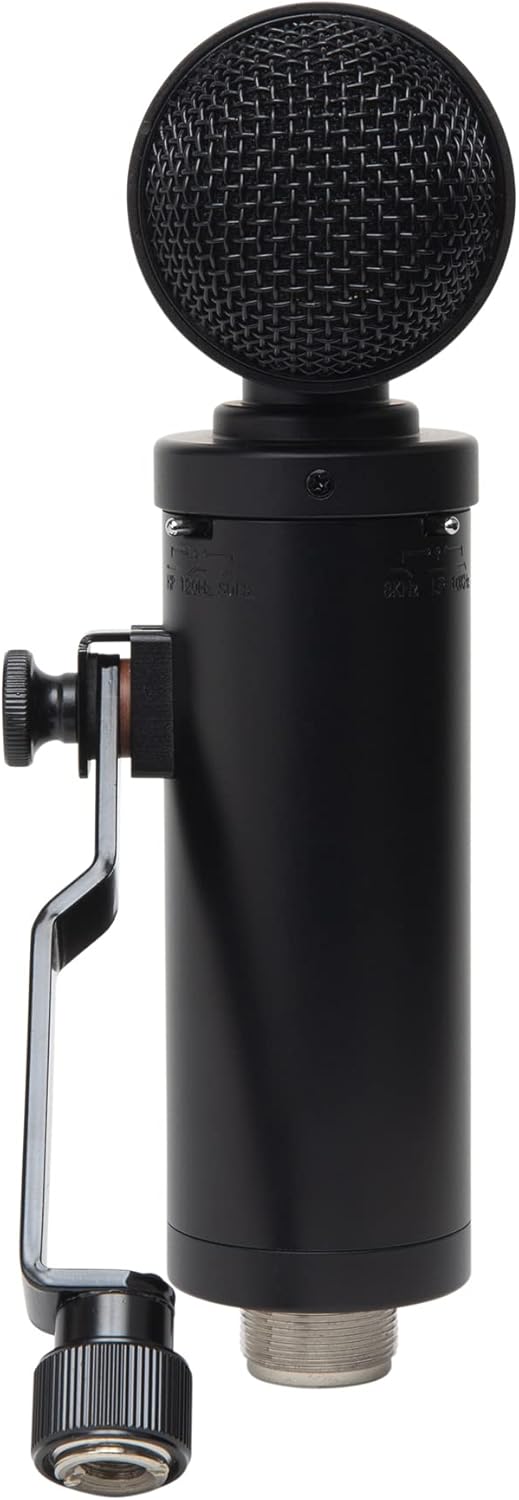 Lauten Audio LS-308 Large Diaphragm Condenser Instrument Microphone
