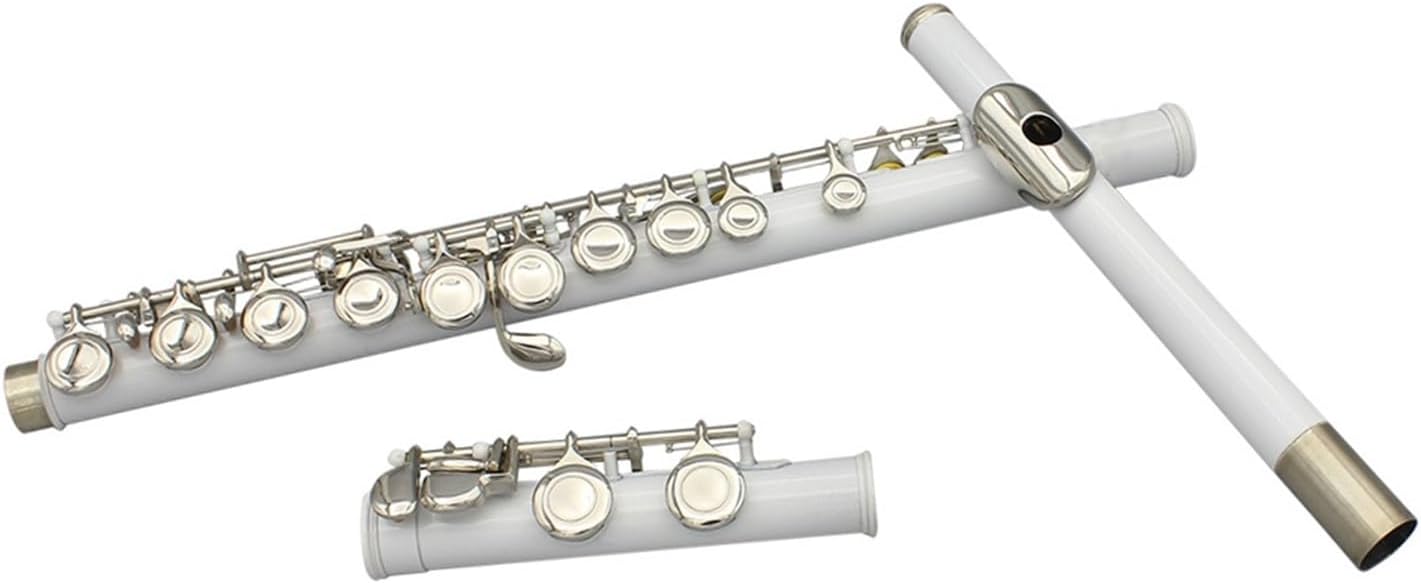 Flute 16 Closed Open Holes C Key Flute with Case Cloth Screwdriver for Student Beginners Woodwind Instrument Flutes Musical Instruments