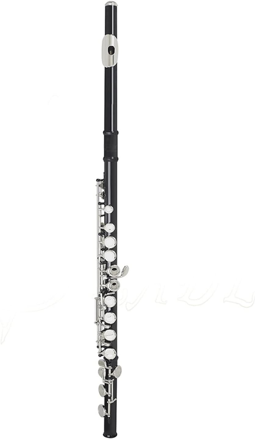 Flutes Silver Key Cupronickel Flute 16 Holes Closed Hole C Tone Black Flute Woodwind Instrument with Case