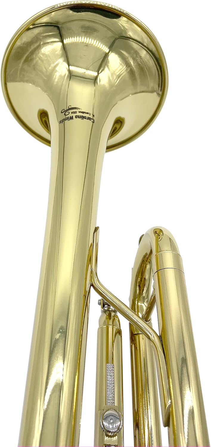 TEACHER APPROVED! Carolina Winds CW201TPT Premier Bb Trumpet