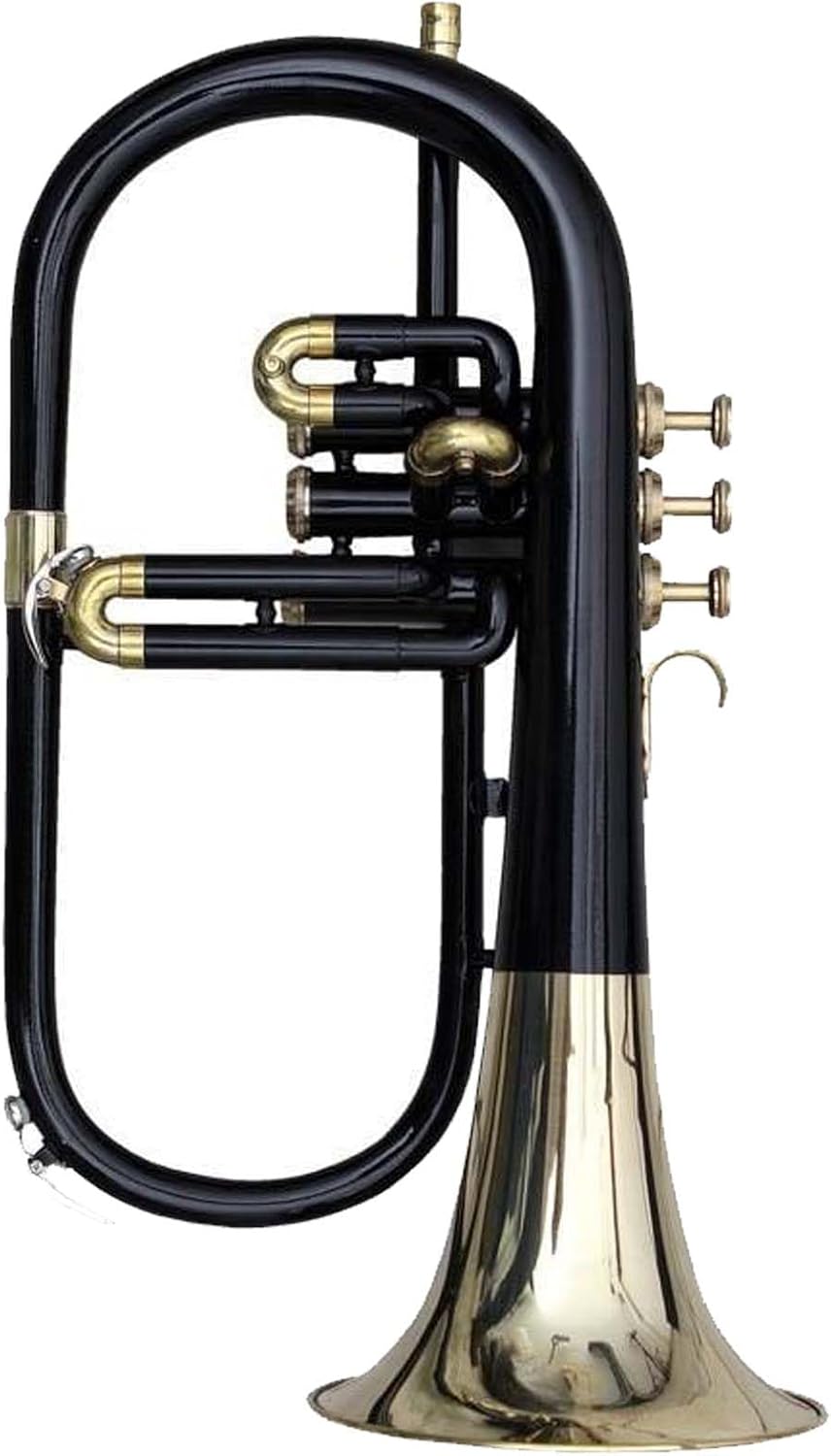 Flugel Horn Pitch Three Valve Key Bb Free Hard Case Mouthpiece (Black)