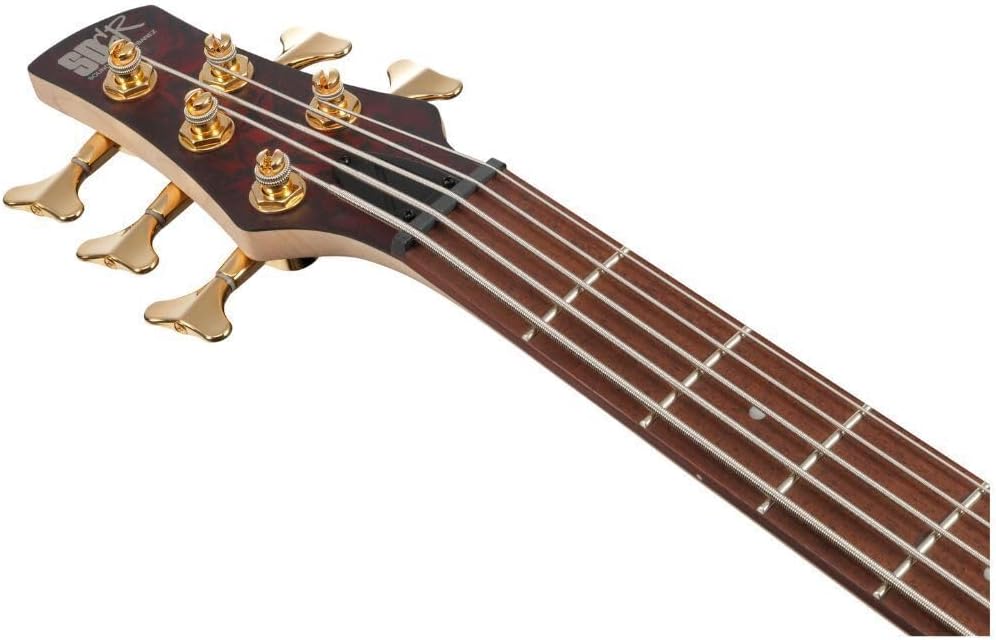 Ibanez SR305EDX Standard 5-String Right-Handed Electric Bass Guitar with Jatoba Fretboard, Nyatoh Body, and PowerSpan Dual Coil Pickups (Wine Red Frozen Matte)