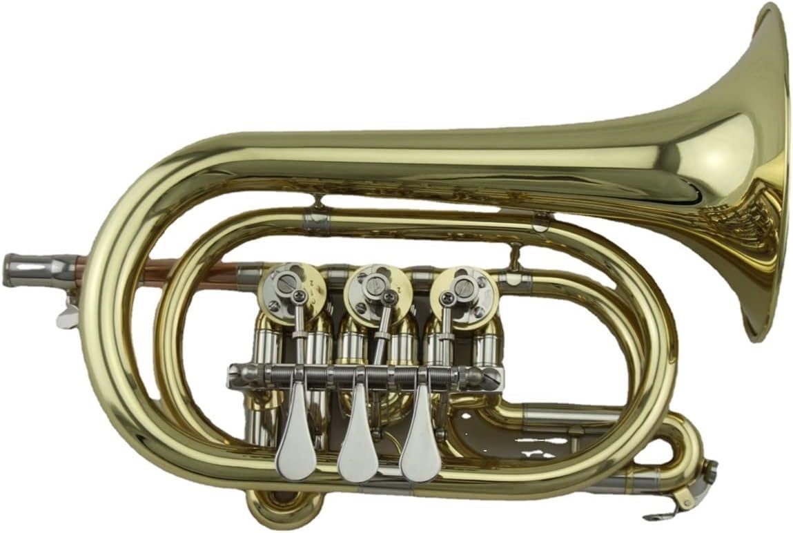 Standard Trumpet Set Brass Tube Body Lacquered Gold B-Flat Brass Wind Instrument Rotary Valve Trumpet Palm Horn Cornet