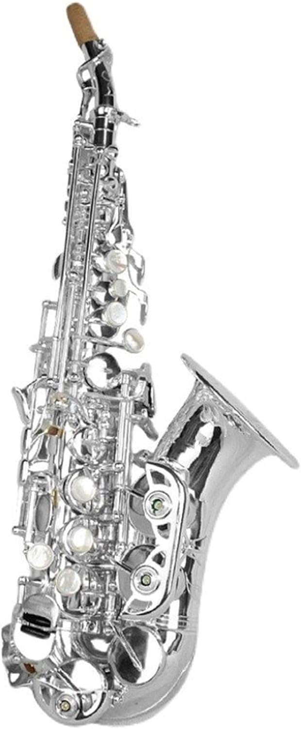Bb Saxophone Silver Plated Brass Professional Woodwind Instrument B Flat Sax with Case