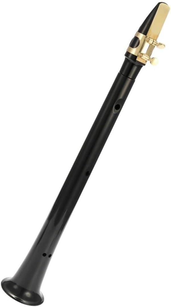 Portable Pocket Saxophone C Key Woodwind Instrument With Carrying Case