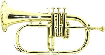 SHREYAS BRASS FINISH FLUGLE HORN 3 VALVE SCX424 FLUGELHORN