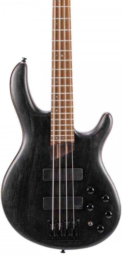 Cort Artisan Series B4 Element Bass Guitar, Open Pore Transparent Black
