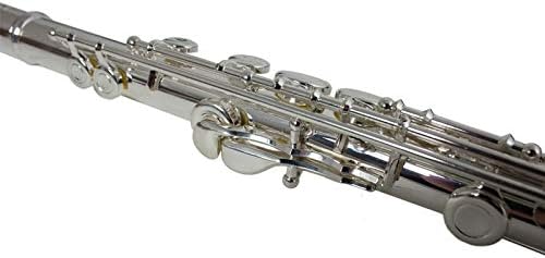 THE WILMINGTON CLOSED HOLE C FLUTE