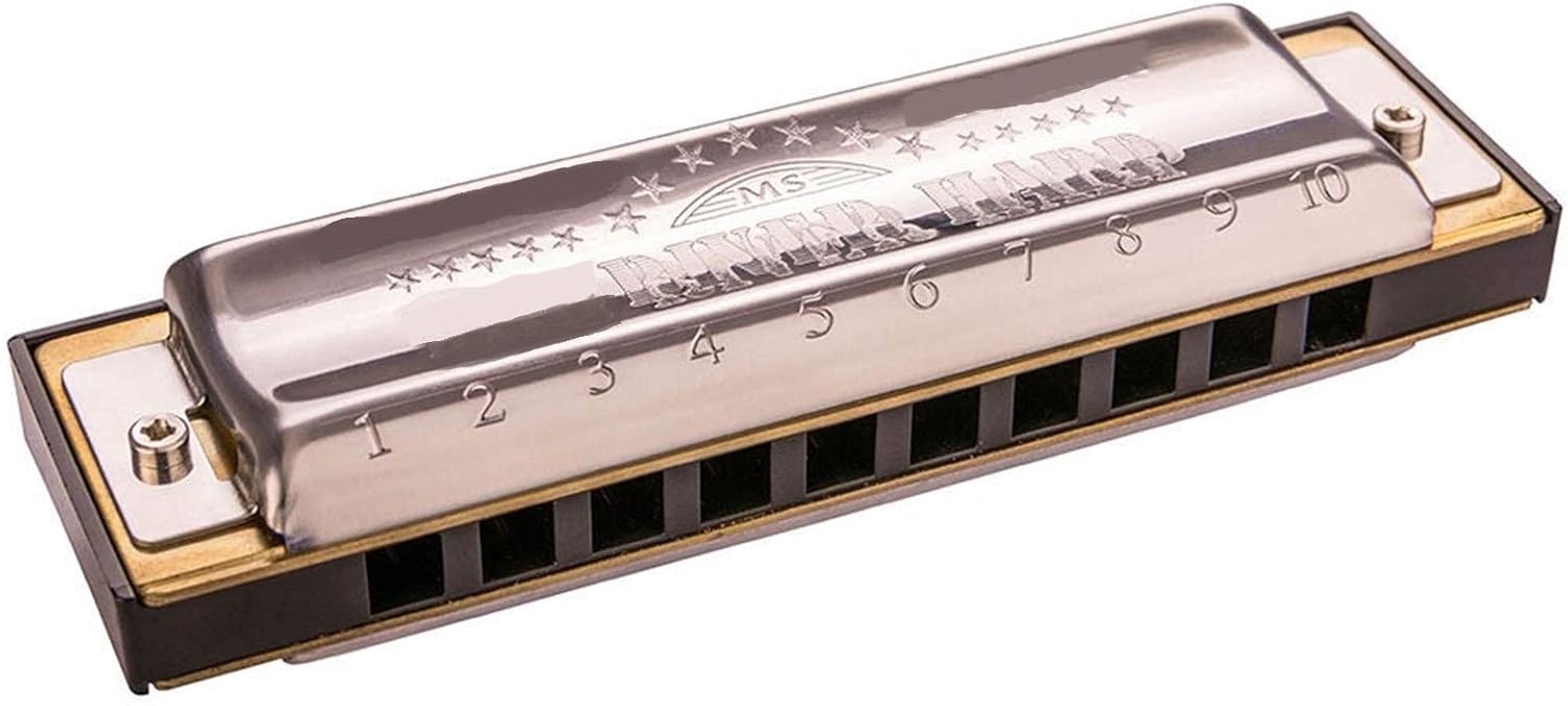 Harmonica Diatonic 10 Holes Harmonica Mouth Organ Instrumentos Diatonic Blues Harp Key of C ABS Comb Musical Instruments (Color : Silver Key EB)