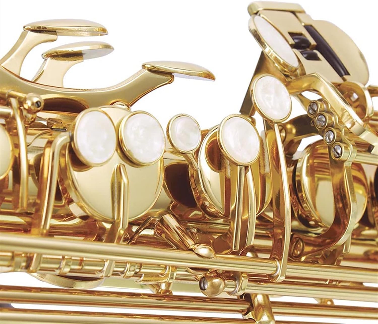 Sax Beginners Kit Professional Bb Tenor Saxophone Brass Lacquered Gold B Flat Sax Musical Woodwind Instrument with Case Mouthpiece Accessories Wind Instrument